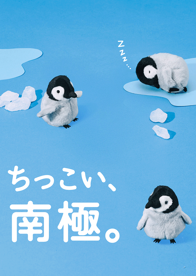 YOU+MORE! ペンギン新作