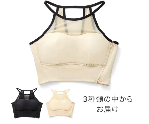 ３種類の中からお届け