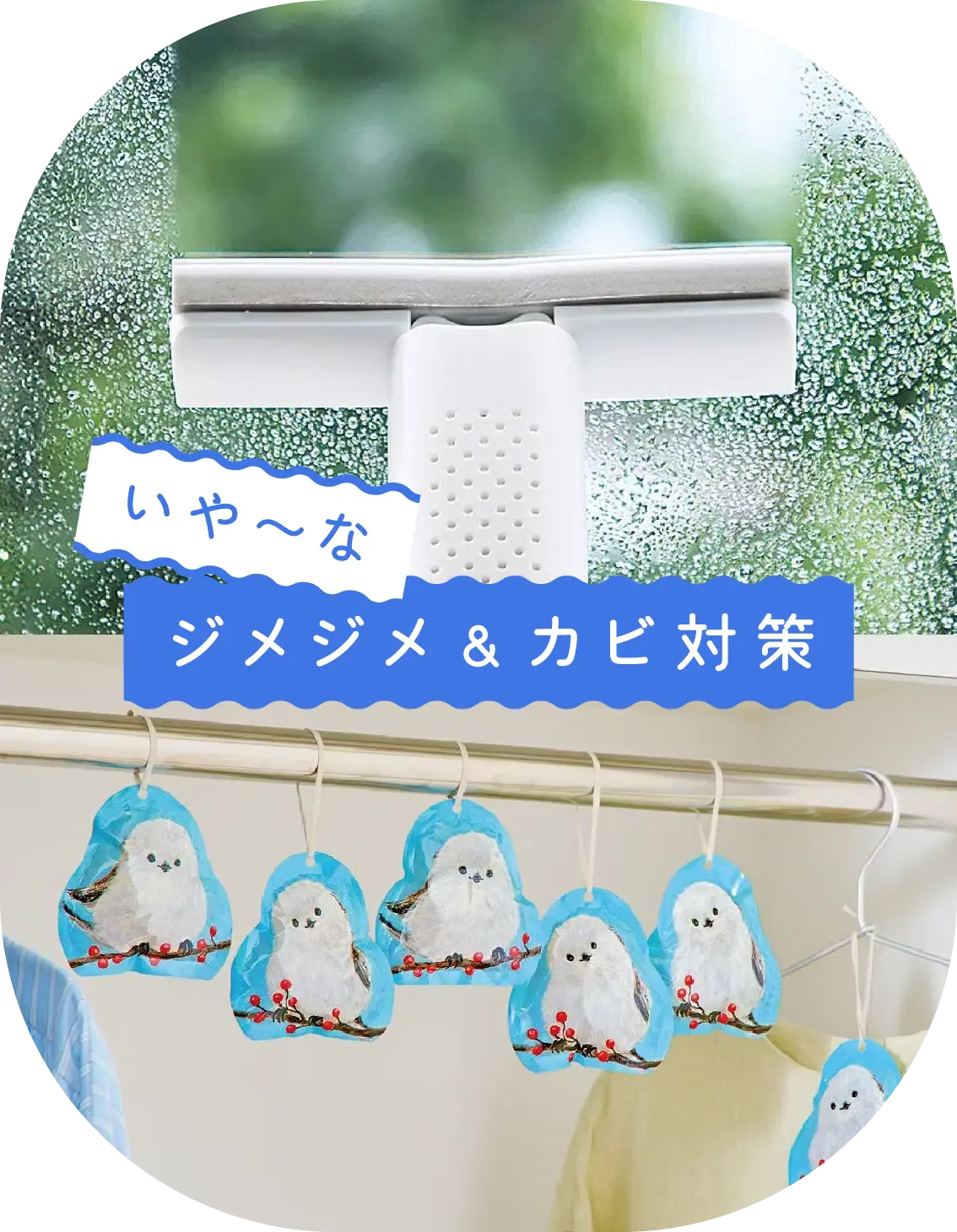 いや～なジメジメ&カビ対策