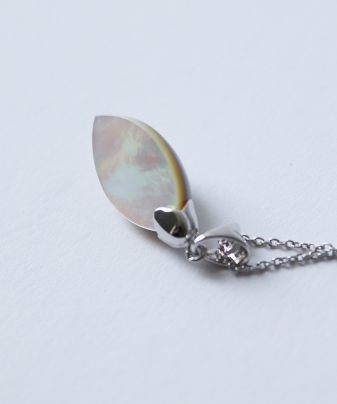 
奄美産のマベパールの裏
