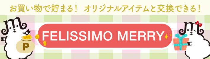 メリーポイント