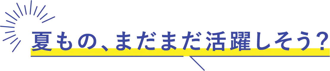 夏もの、まだまだ活躍しそう？