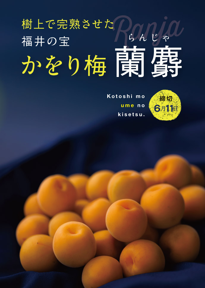 かをり梅 蘭麝