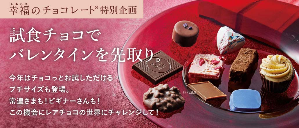 試食チョコレートセット