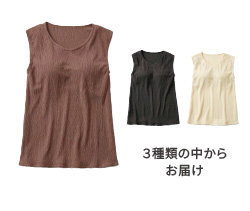 ３種類の中からお届け