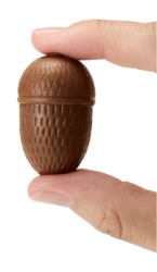 おっきなどんぐりチョコレートプレゼント！