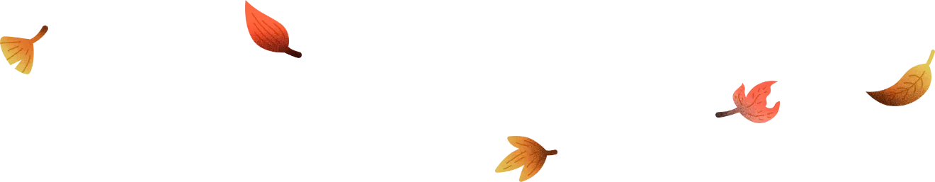 ファッション一句 Felissimo mv 飾り12