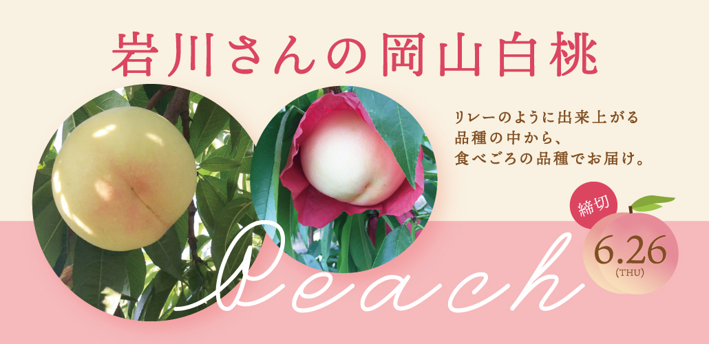 岩川さんの岡山白桃