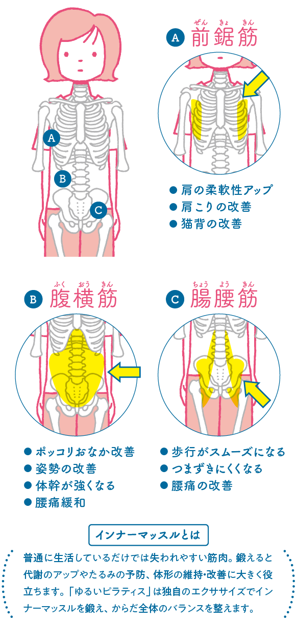 ゆるいピラティスが続く理由１　リハビリが起源。少ない動きだから続く！