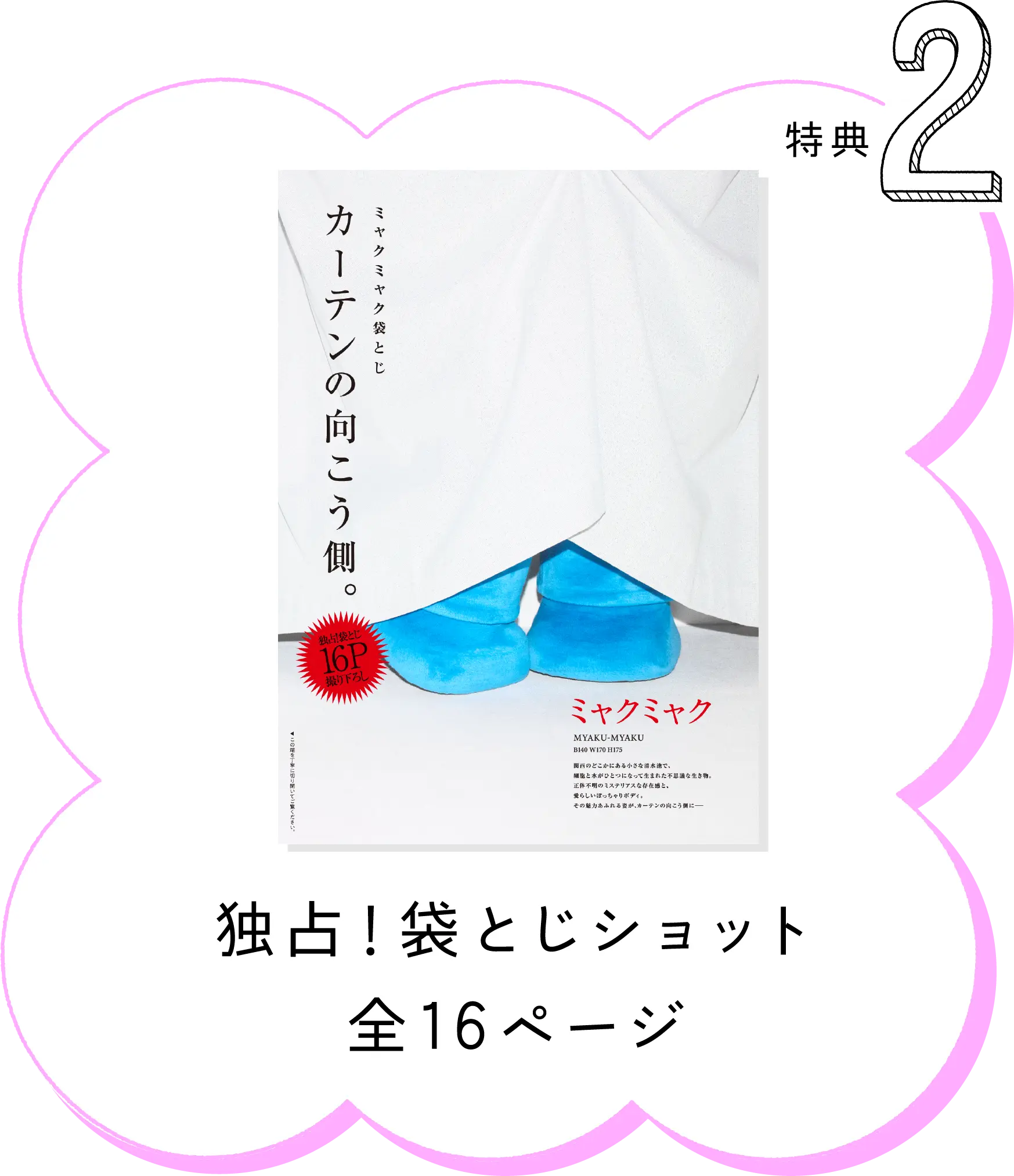 特典2 独占！袋とじショット全16ページ