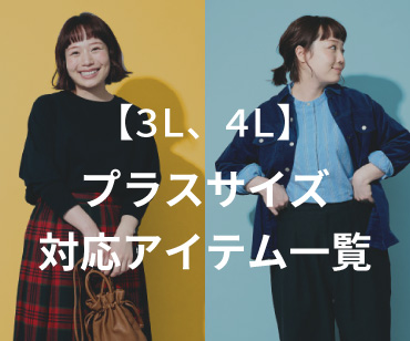 3L4Lサイズ