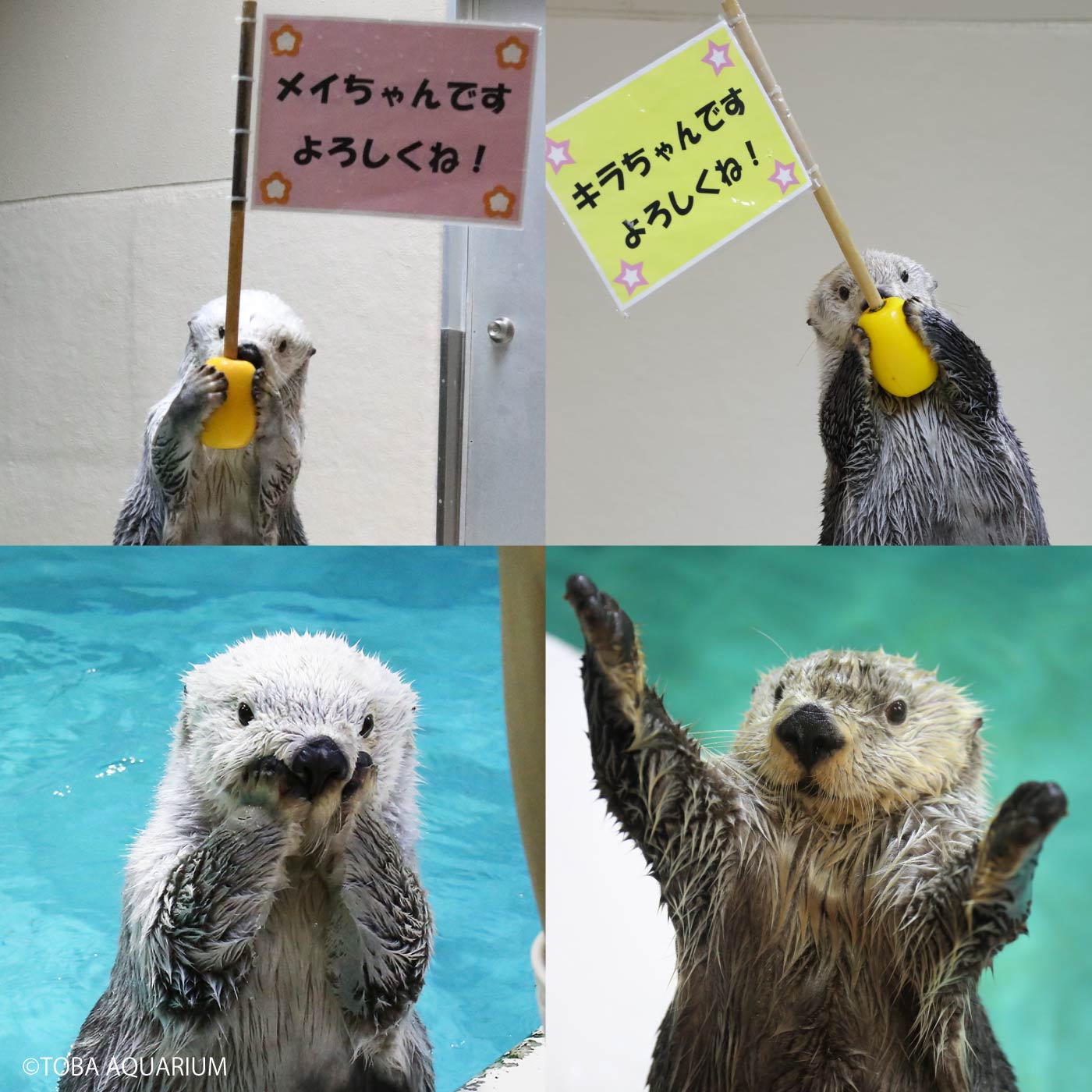 ふわふわマスコット3