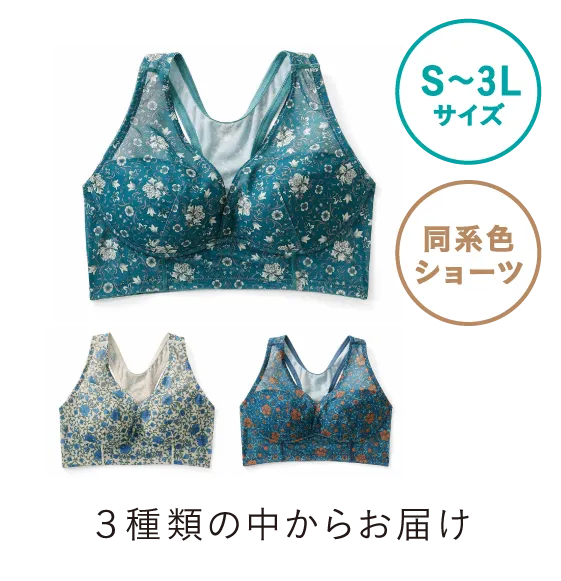 S～3Lサイズ　同系色ショーツ ３種類の中からお届け