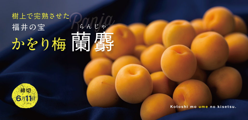 かをり梅 蘭麝
