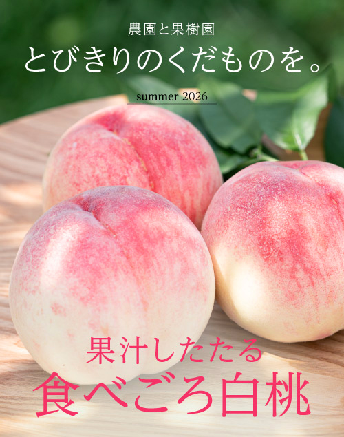 フルーツ＆野菜