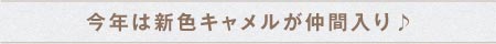 今年は新色キャメルが仲間入り♪