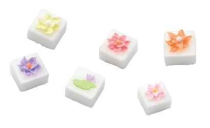 ティーシュガー　