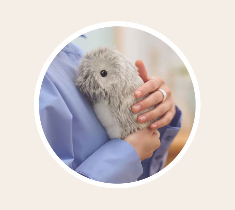 モフリン
