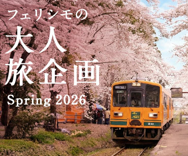 フェリシモ大人旅 第2弾