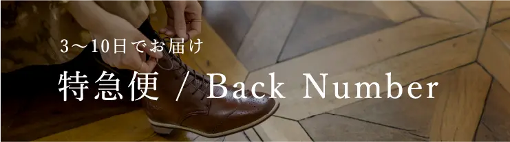 特急便 / Back Number