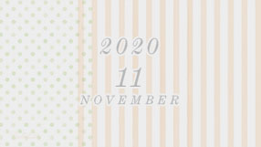 2020 11 NOVEMBER