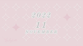 2022 11 NOVEMBER