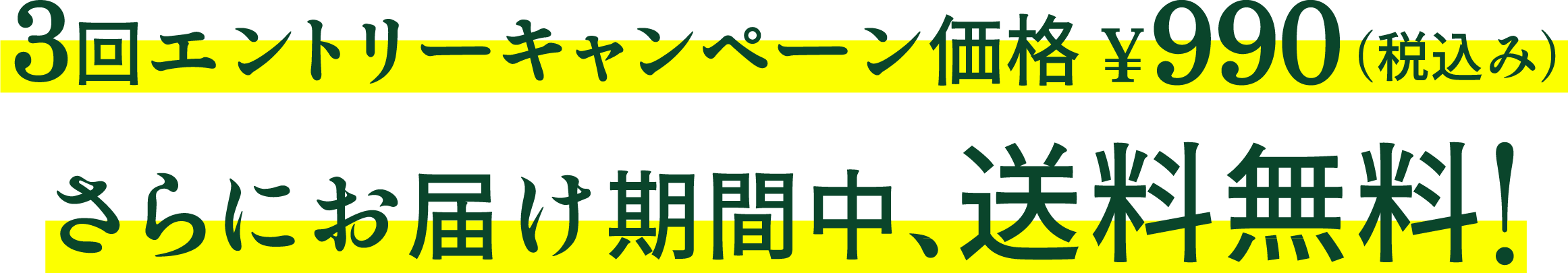 3回エントリーキャンペーン価格¥990円（税込み）さらにお届け期間中、送料無料！