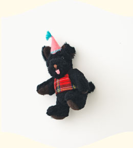 わたしだけのぬいぐるみを作ろう！ ちいさなワンちゃんのキット