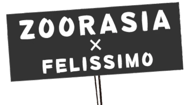 ZOORASIA ✖️ FELISSIMO