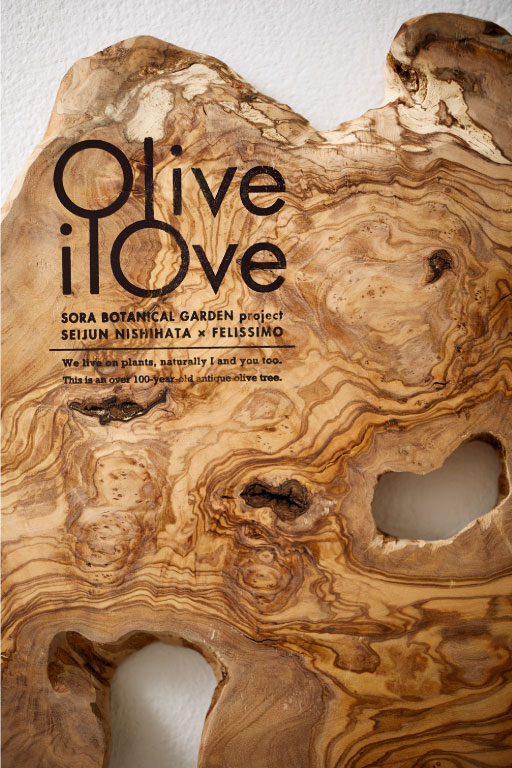 OliveilOve 100年アンティーク オリーブプレート