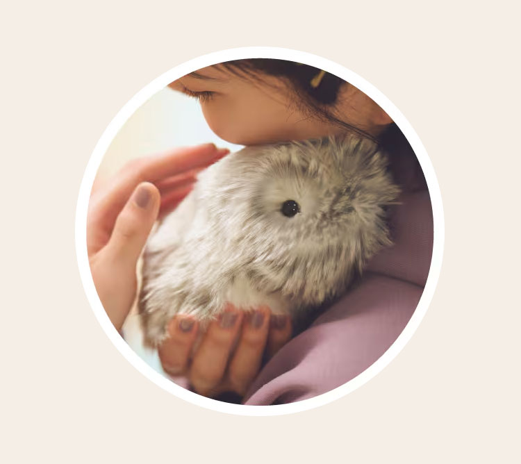 モフリン