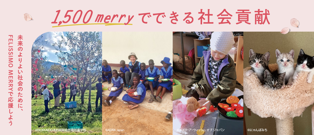 1,500merryでできる社会貢献