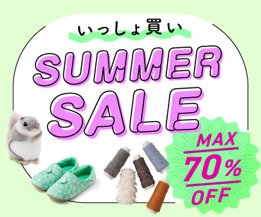 Summer SALE