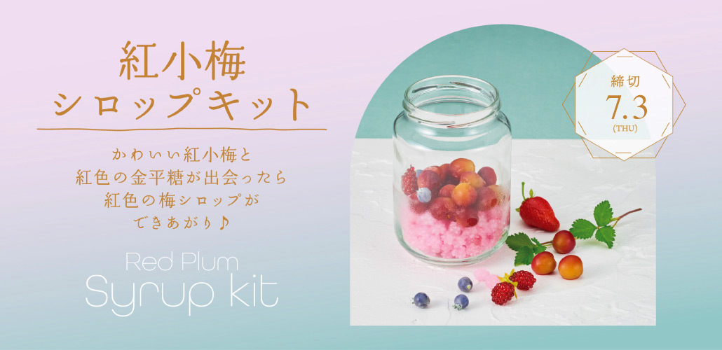 紅小梅シロップキット