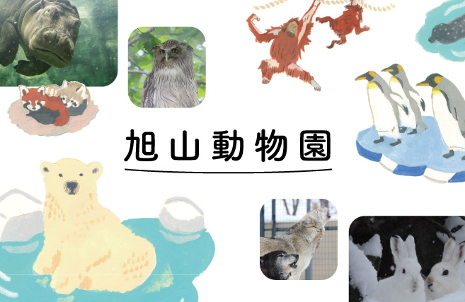 みんながうれしい未来へ!旭山動物園とつくったしあわせの基金