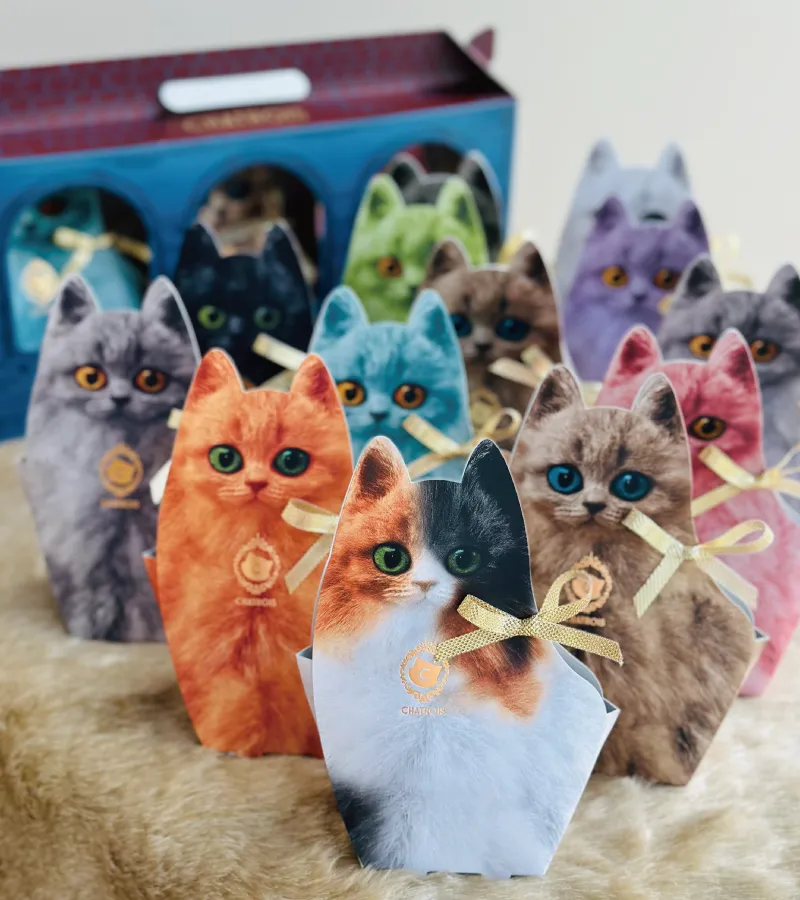 にゃんこ大行進～チョコレートパッケージになった猫たち～