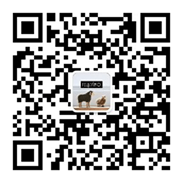 画像１カラム表示 キャプション付き表示