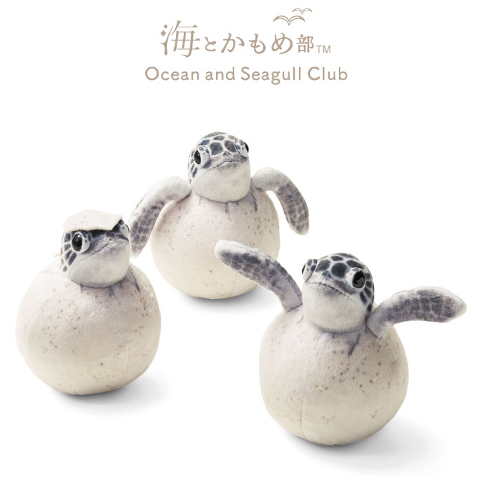 海とかもめ部