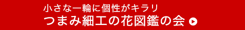 繊細さにうっとり　毎日をやさしく彩る　つまみ細工の小さな花束の会　商品ページを見る