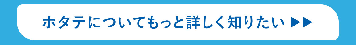 ホタテ