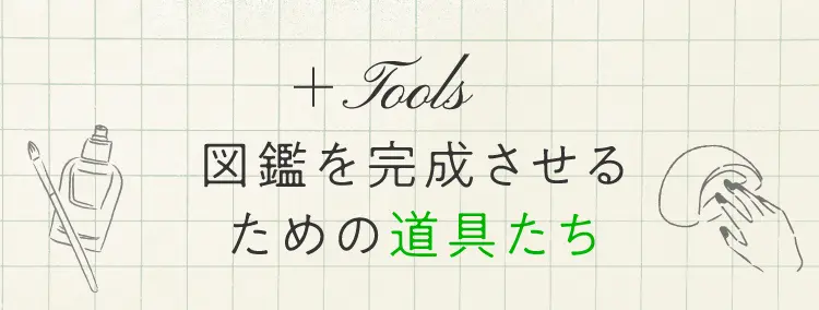 図鑑を完成させるための道具たち