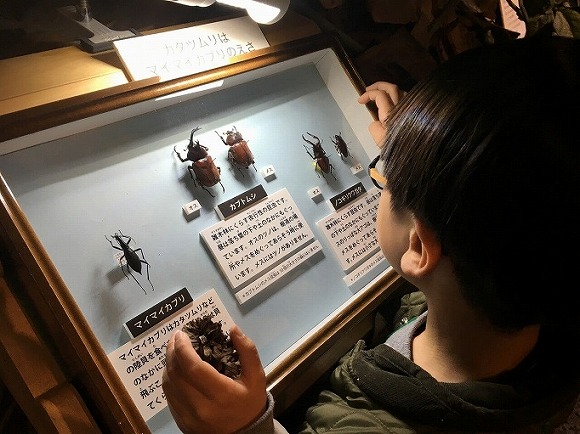 フェリシモミュージアム部　ボタニカルアートな雰囲気を楽しむ 擬態（ぎたい）昆虫ハンカチの会