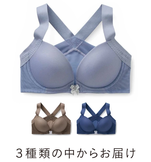 ３種類の中からお届け