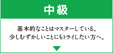 中級 基本的なことはマスターしている。少しむずかしいことにもトライしたい方へ。