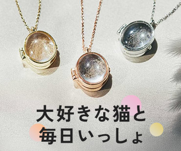 猫部 猫との暮らしアイテム特集