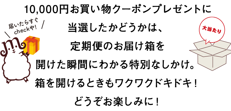 10,000円クーポンプレゼントに当選したかどうかは