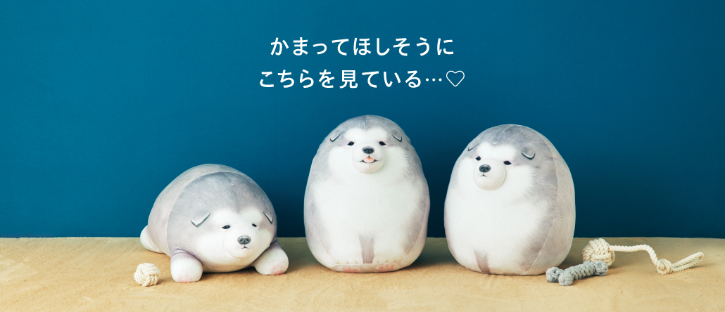 YOU+MORE!