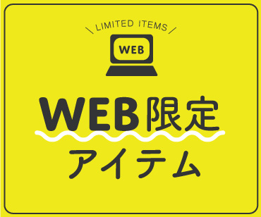 WEB限定キット