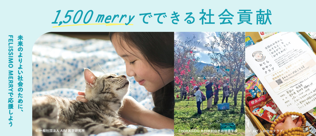 1,500merryでできる社会貢献