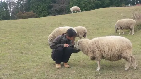 冬の毎日をもっとあったかく、しあわせに。のアニメーション2